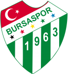 Bursaspor logo