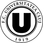 Cluj-Napoca logo