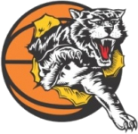 Willetton Tigers logo