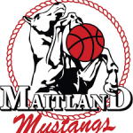 Maitland M. logo