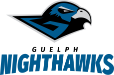 Calgary Surge logo