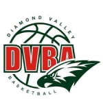 Diamond Valley logo